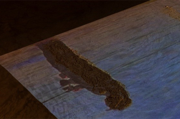 新加坡南洋艺术学院学费多少？2025年最新收费标准全解析来了！